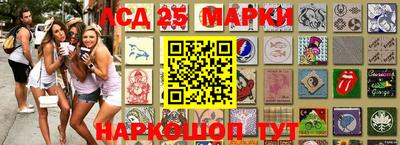 шишки Ставрополь
