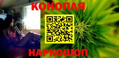 шишки Ставрополь