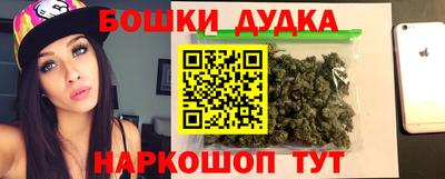 шишки Ставрополь