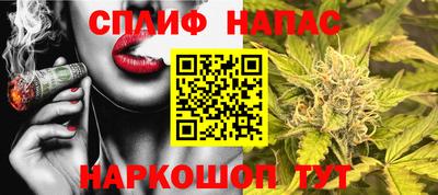 шишки Ставрополь