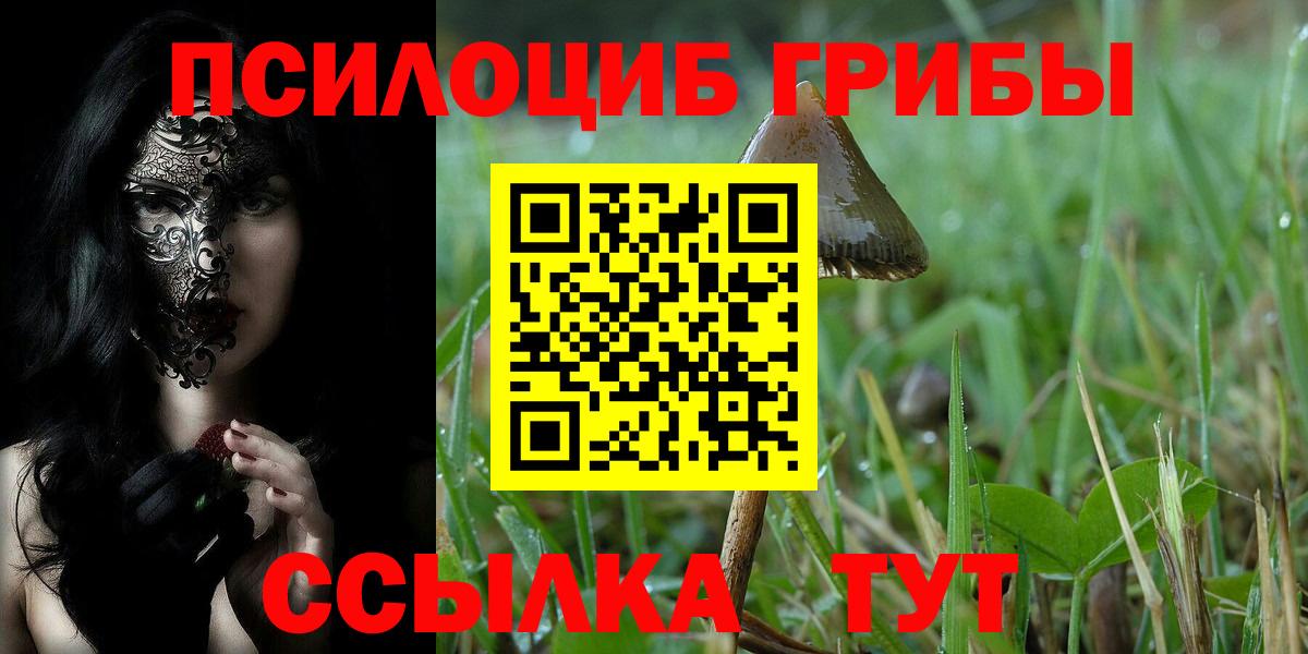Галлюциногенные грибы MAGIC MUSHROOMS Новоалександровск