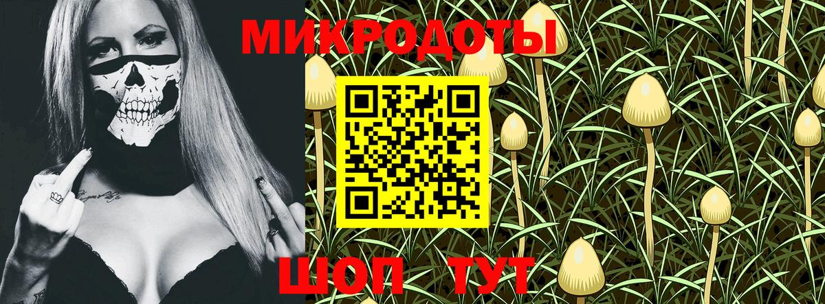 Псилоцибиновые грибы мухоморы  Вход с VPN  Псилоцибиновые грибы прущие грибы  Новоалександровск 